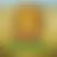 Zagraj Mega Moolah z Games Global w {"id":1,"name":"Lemon Casino","design":{"logo":"lemon-casino-logo.nLrrXc.svg","favicon":"lemon-casino-favicon.Er8GUj.png","banner_poker":"lemon-casino-poker.1AJl4L.webp","banner_mobile":"lemon-casino-mobile.DwFQUk.webp","block_bg_color":"#1B2828","image_bg_color":"#1A4B48","banner_bg_color":"#1B2828","primary_bg_color":"#253232","banner_text_color":"#fff","footer_logos_type":"white","block_round_radius":"0.75rem","primary_text_color":"#ffffff","button_round_radius":"9999px","banner_welcome_bonus":"lemon-casino-welcome-bonus.llzwf1.webp","primary_button_bg_color":"#FFDD66","primary_button_text_color":"#253232","secondary_button_bg_color":"#FF9933","secondary_button_text_color":"#253232"},"created_at":"2025-05-14T09:25:22.000000Z","updated_at":"2025-05-14T09:25:22.000000Z","deleted_at":null}