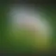 Zagraj Let It Ride z Playtech w {"id":1,"name":"Lemon Casino","design":{"logo":"lemon-casino-logo.nLrrXc.svg","favicon":"lemon-casino-favicon.Er8GUj.png","banner_poker":"lemon-casino-poker.1AJl4L.webp","banner_mobile":"lemon-casino-mobile.DwFQUk.webp","block_bg_color":"#1B2828","image_bg_color":"#1A4B48","banner_bg_color":"#1B2828","primary_bg_color":"#253232","banner_text_color":"#fff","footer_logos_type":"white","block_round_radius":"0.75rem","primary_text_color":"#ffffff","button_round_radius":"9999px","banner_welcome_bonus":"lemon-casino-welcome-bonus.llzwf1.webp","primary_button_bg_color":"#FFDD66","primary_button_text_color":"#253232","secondary_button_bg_color":"#FF9933","secondary_button_text_color":"#253232"},"created_at":"2025-05-14T09:25:22.000000Z","updated_at":"2025-05-14T09:25:22.000000Z","deleted_at":null}